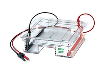 美国Bio-rad伯乐Sub-Cell 96 型电泳槽Sub-Cell® Model 96 Cell水平电泳槽
